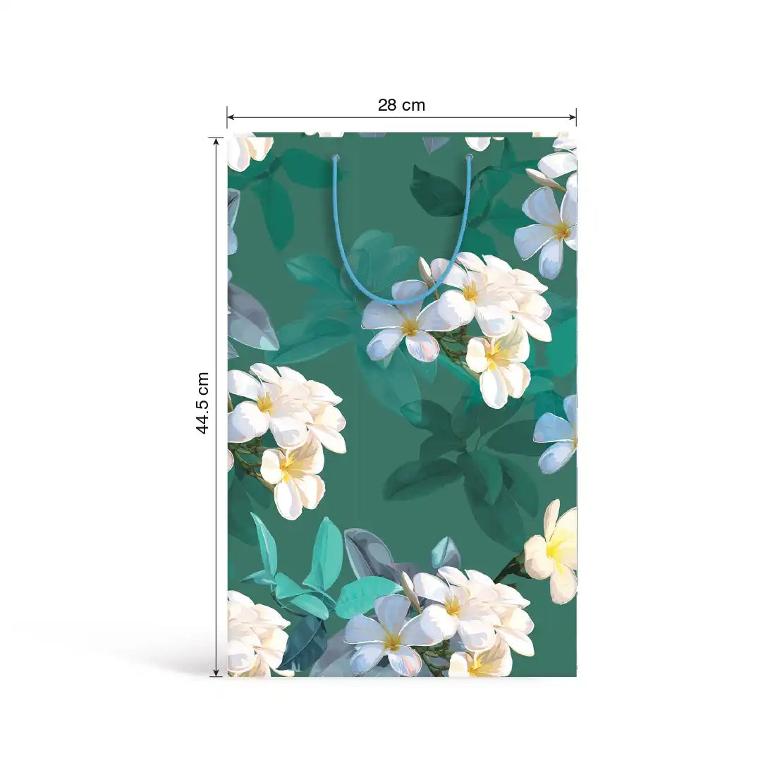 Gift bag (28x44.5cm)