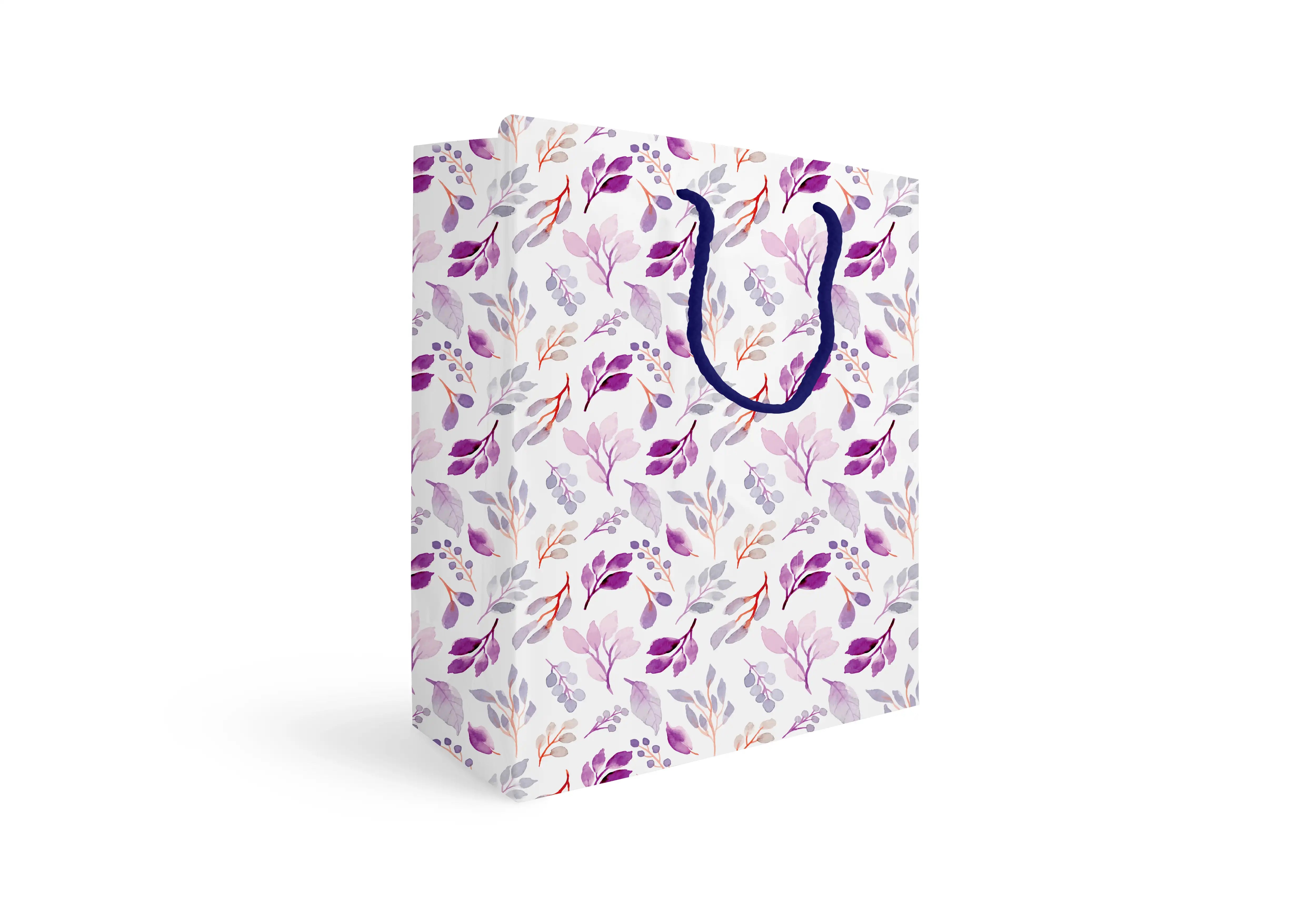 Gift bag (33x37cm)