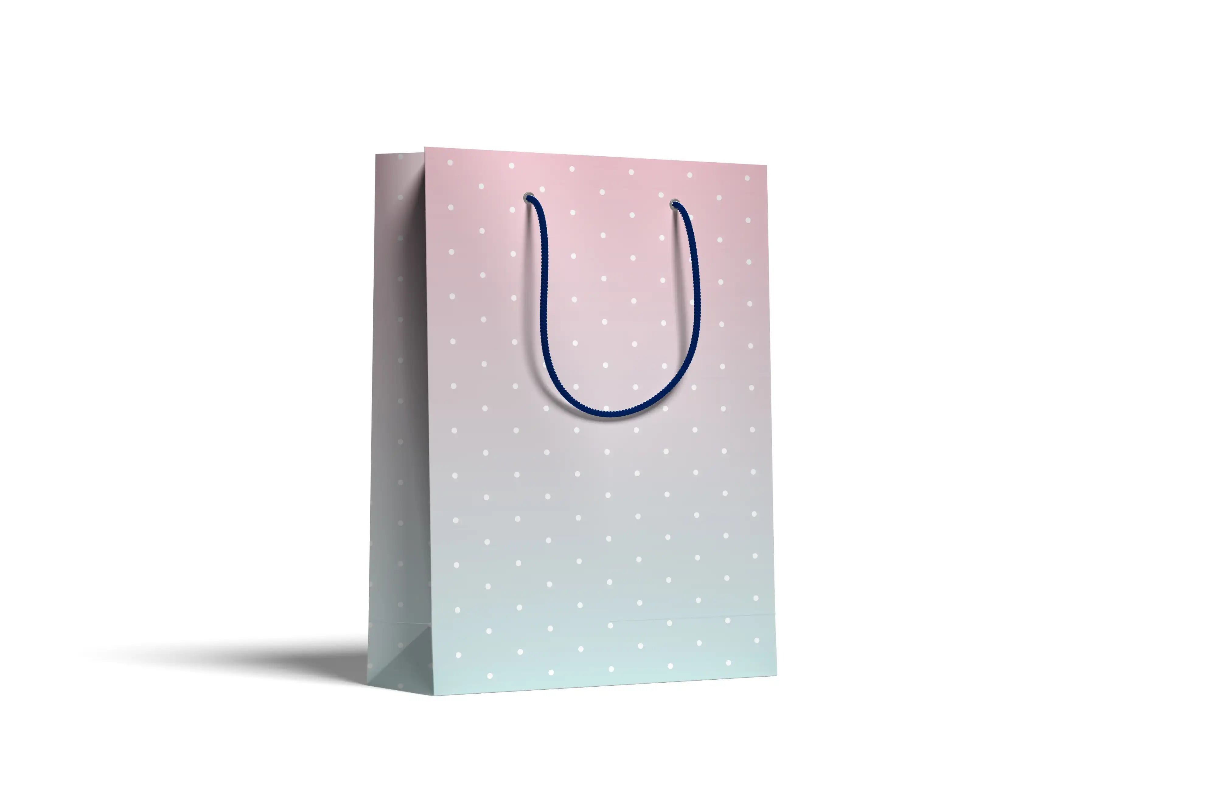 Gift bag (22.6x30.6)
