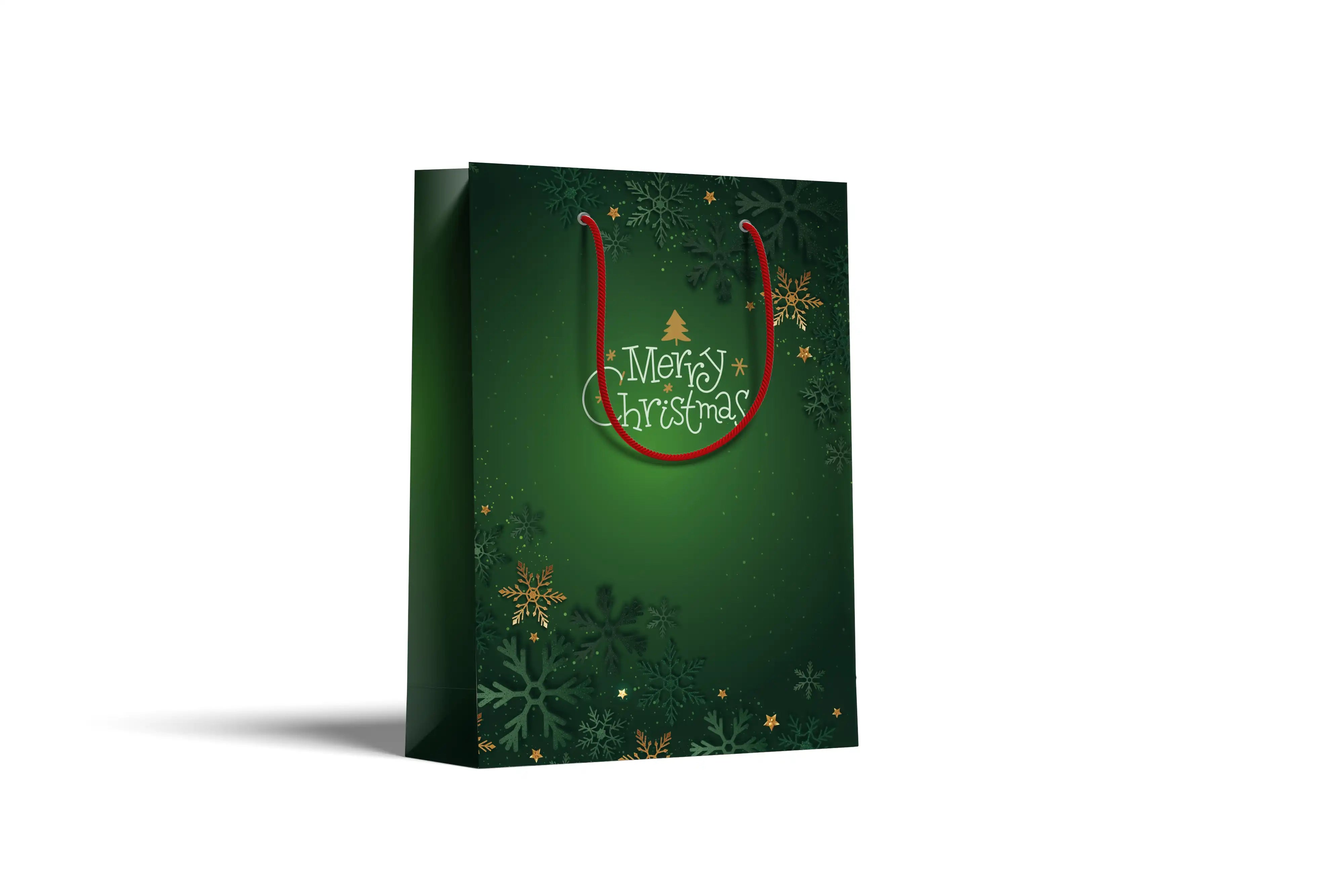 Gift bag (22.6x30.6)