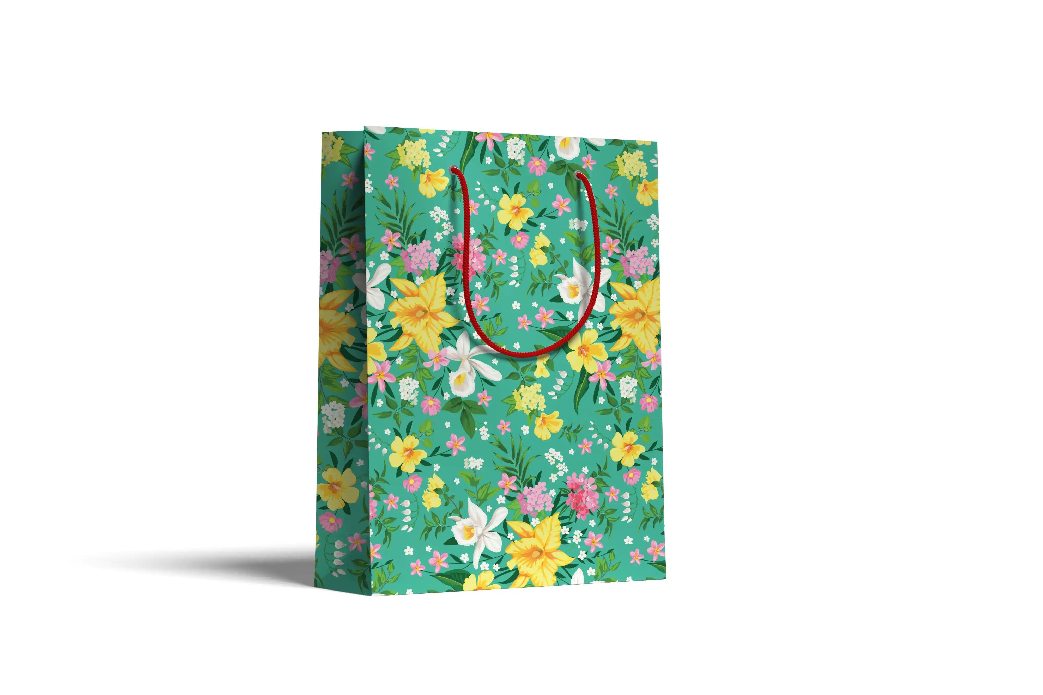 Gift bag (22.6x30.6)