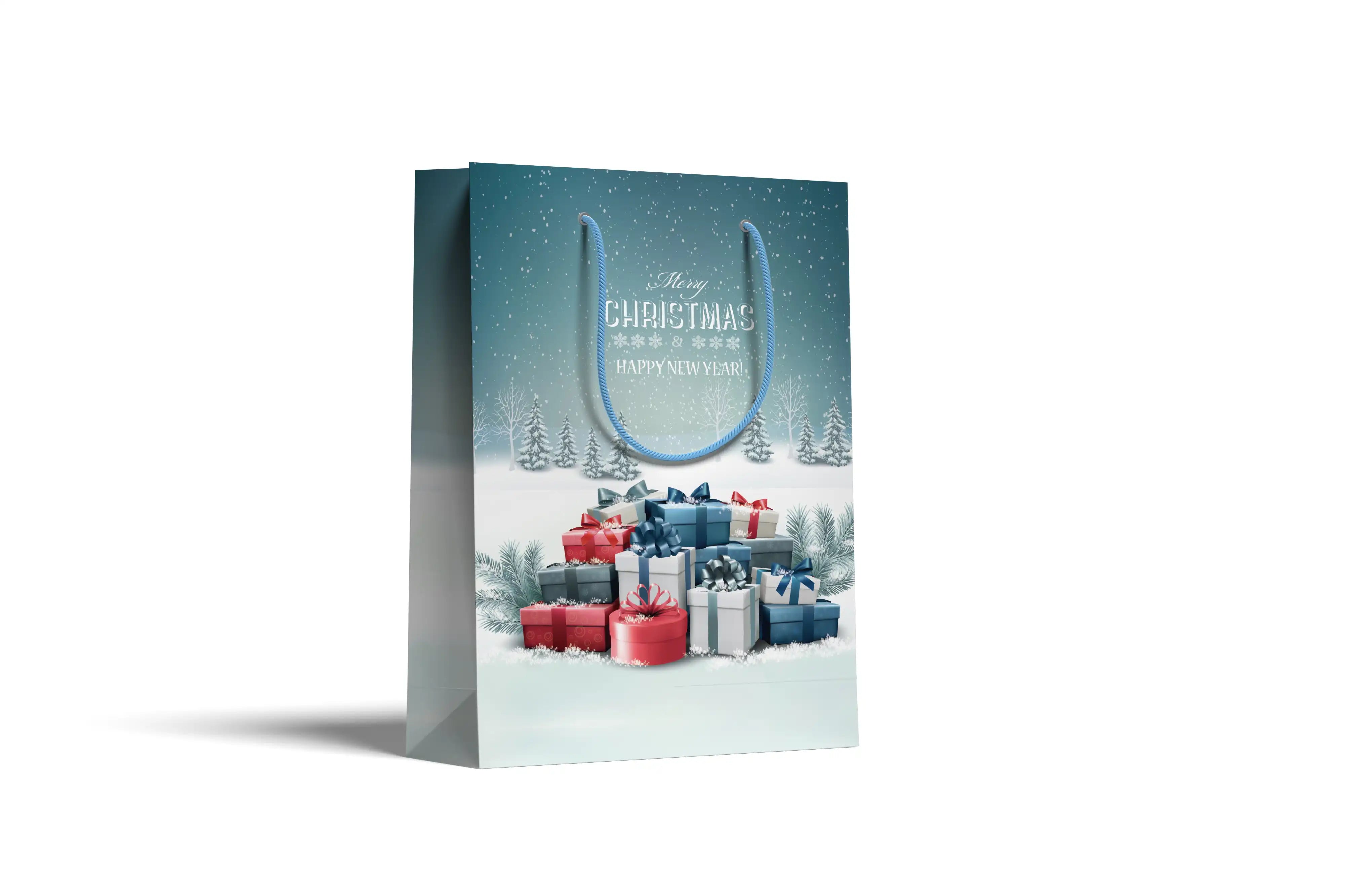 Gift bag (22.6x30.6)