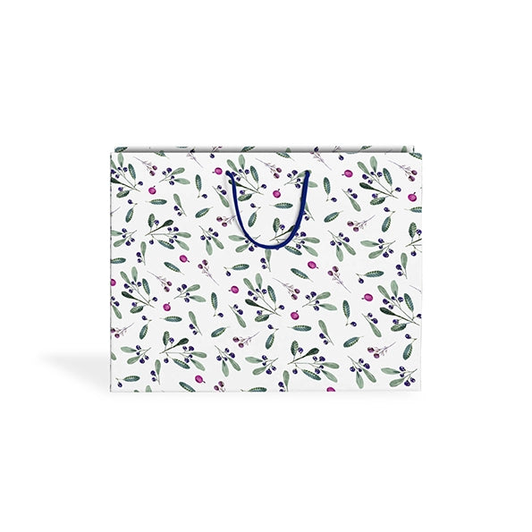 Gift bag (67x49cm)