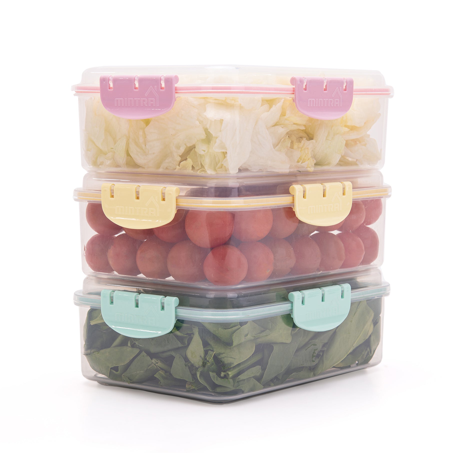 1.6 L Food Container with Lock