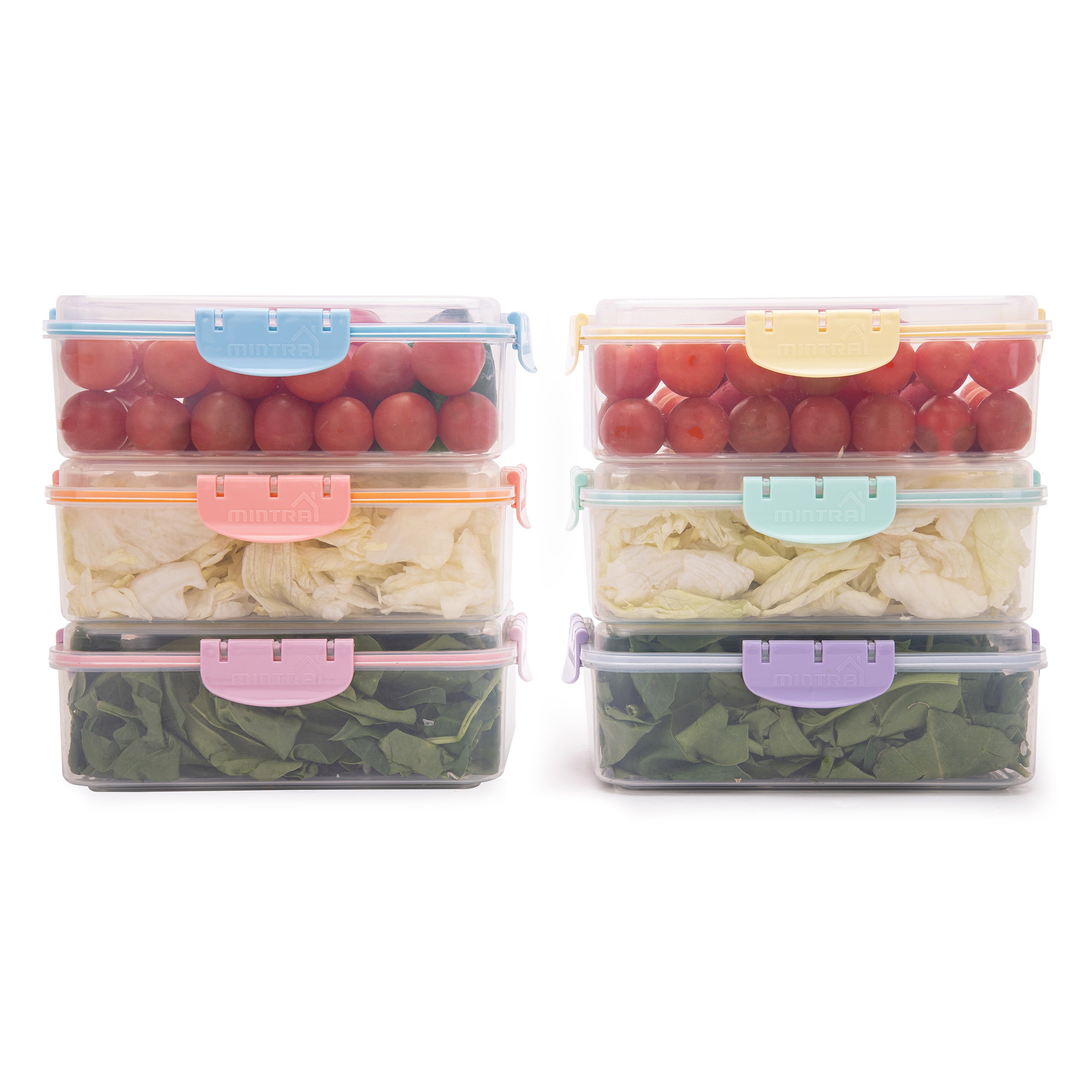 1.6 L Food Container with Lock