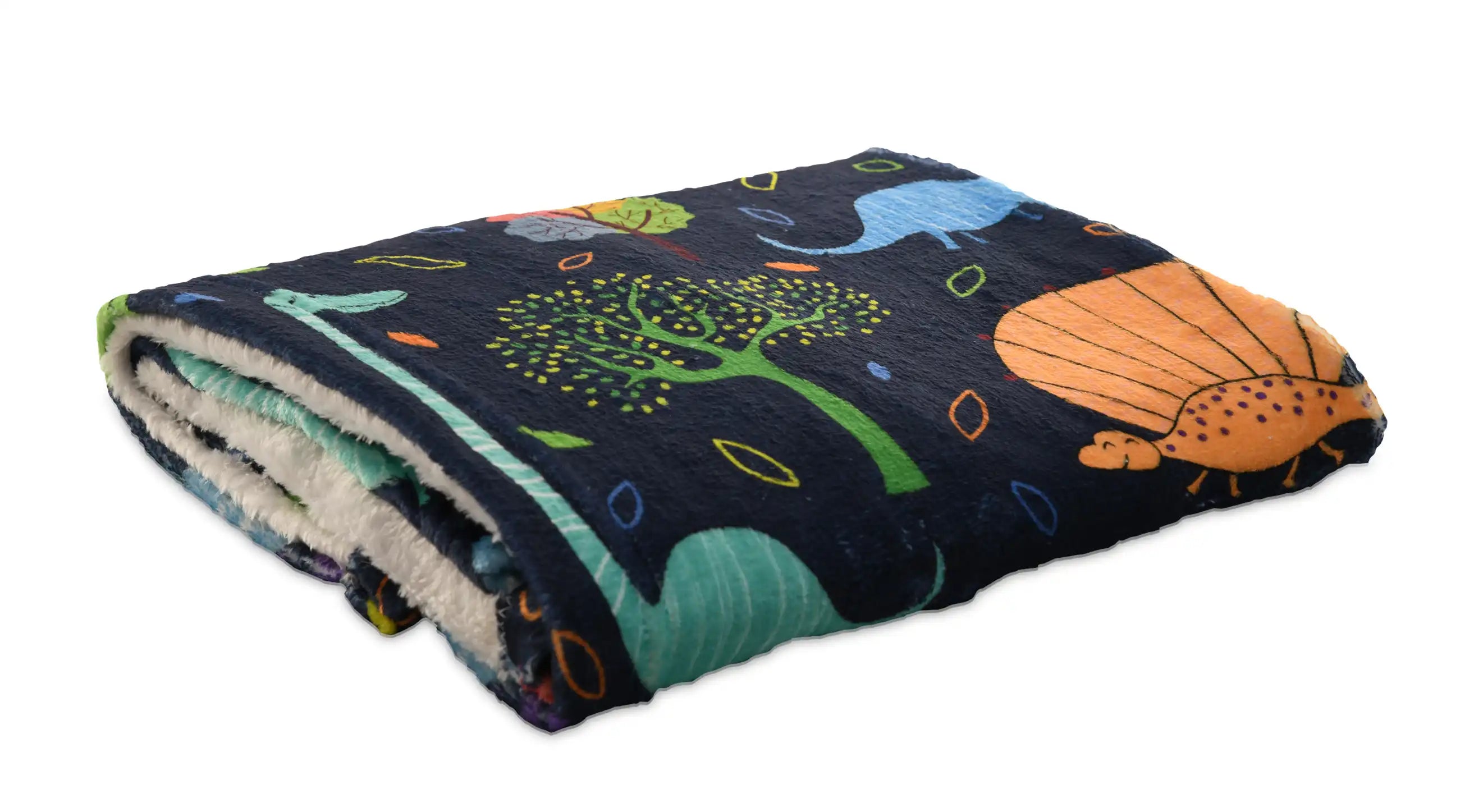 Baby & Kids Printed Blanket (75x100 CM)