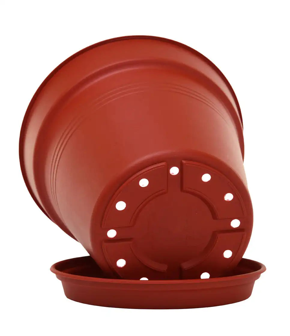 Round Pot 21 cm (Pack of 4)