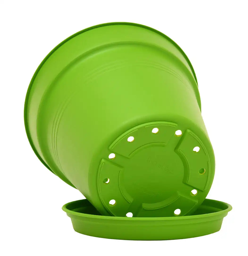 Round Pot 24 cm (Pack of 2)