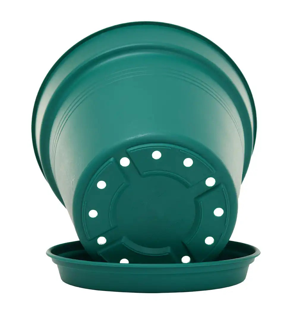 Round Pot 24 cm (Pack of 2)