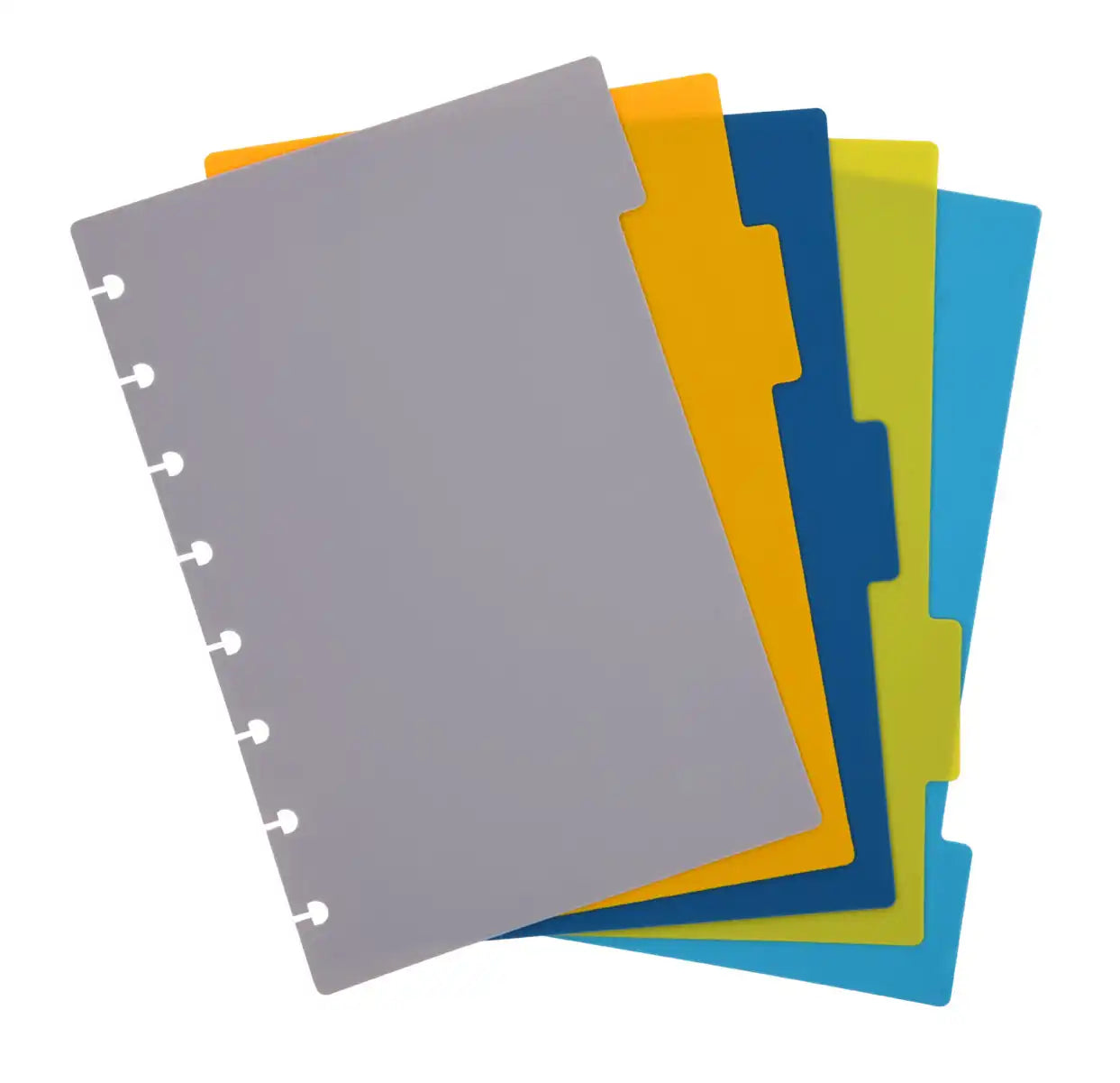 Talia Tab Dividers