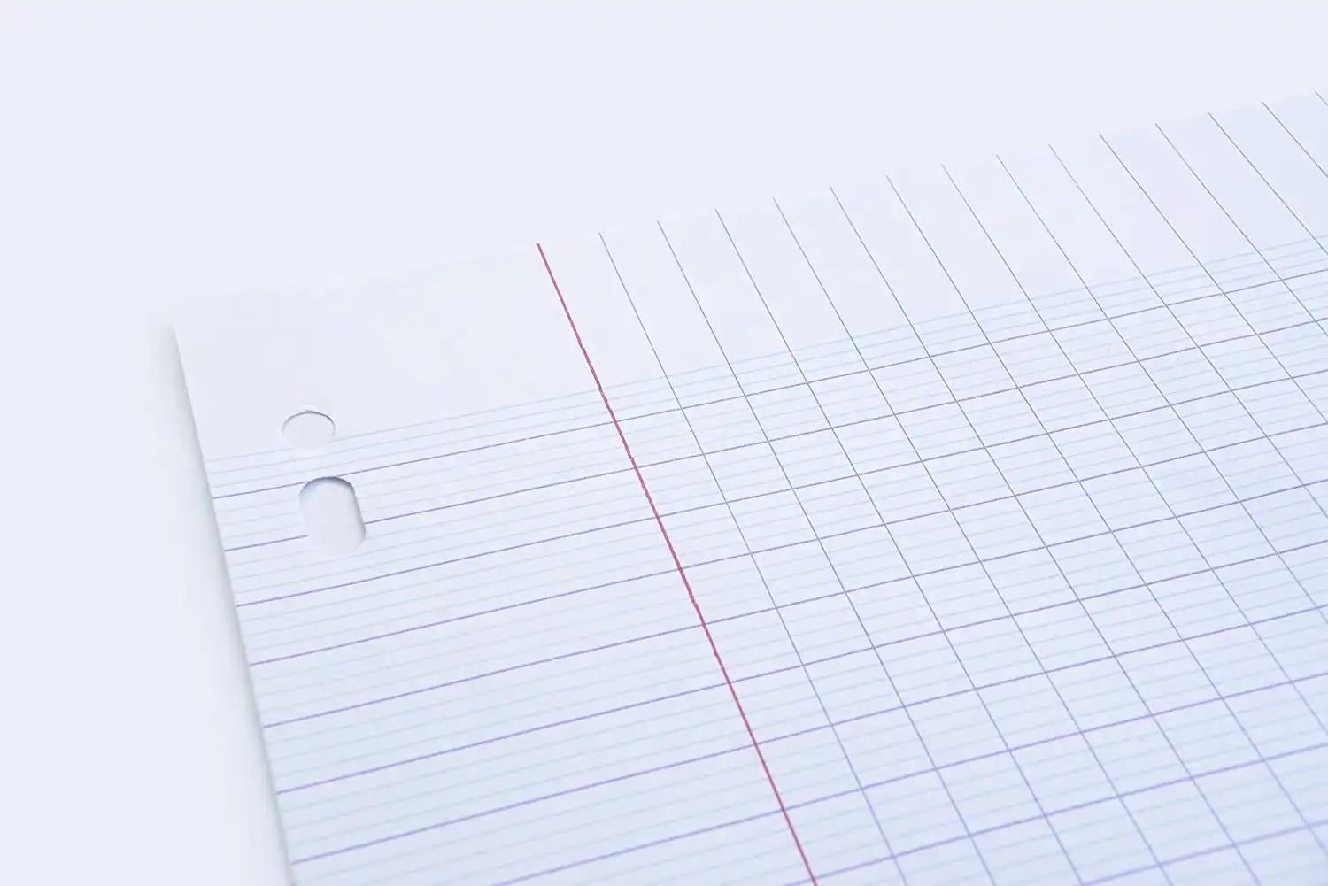 Pixel Seyes Double Filler Paper A4 (French Ruling)